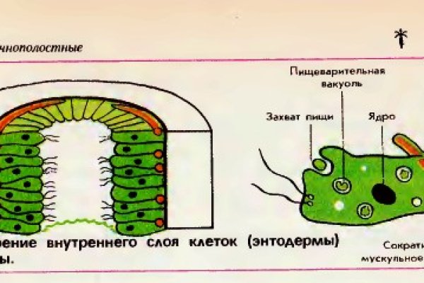 Кракен дарк площадка