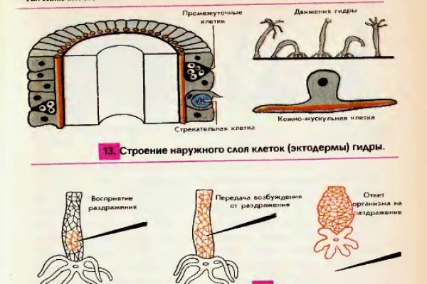 Что можно купить в кракене